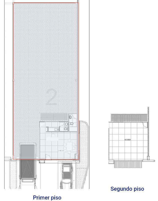 planta-grafico